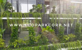 Những điểm mạnh trong thiết kế Nhà phố đại lộ Ecopark Vinh